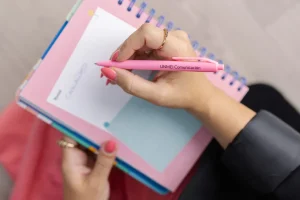 Agenda de planificación de UNMEI